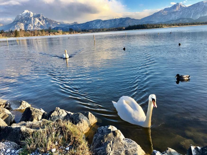 Hotel Fischer Am See Фюссен Екстер'єр фото
